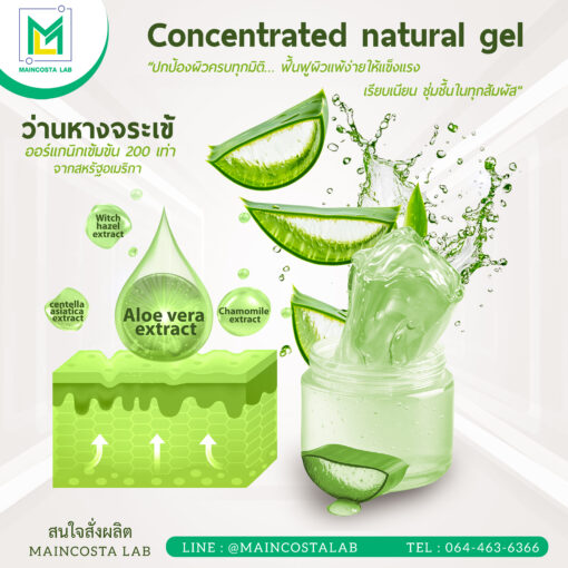 รับผลิต Concentrated natural gel